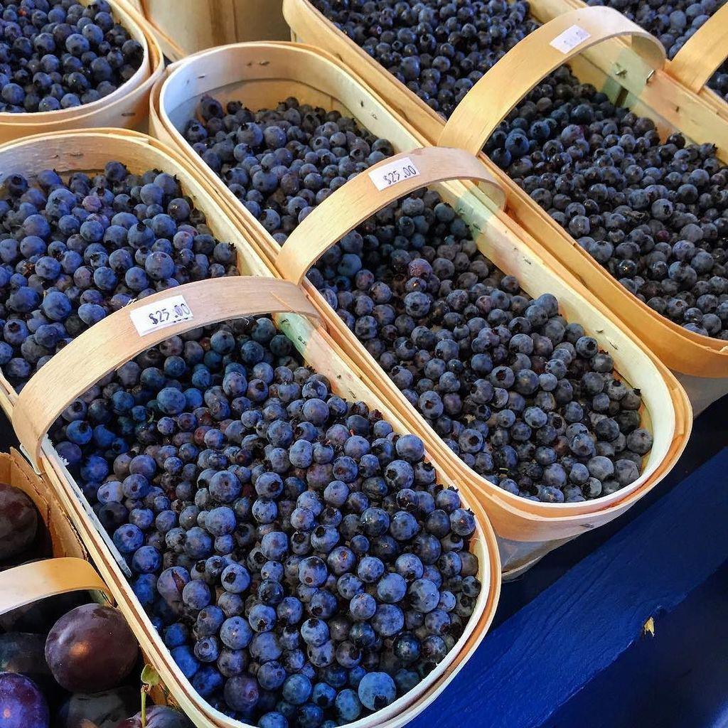 KarenBurnsBooth's tweet image. Baskets of wild blueberries (bilberries) at Jean Talon market yesterday #mtlmoments #Quebe… ift.tt/1NwDCav