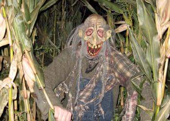 As vrijdag spookdoolhof in De Meern! Zijn jullie klaar om te griezelen?! Inloop 21 tot 23