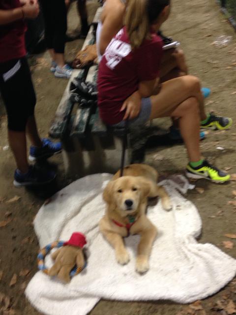 BHASelect's tweet image. 1st game of the @HUBsoftball Fall season - BHA's team mascot cheering us on! #coedsoftball #teamsmarsh