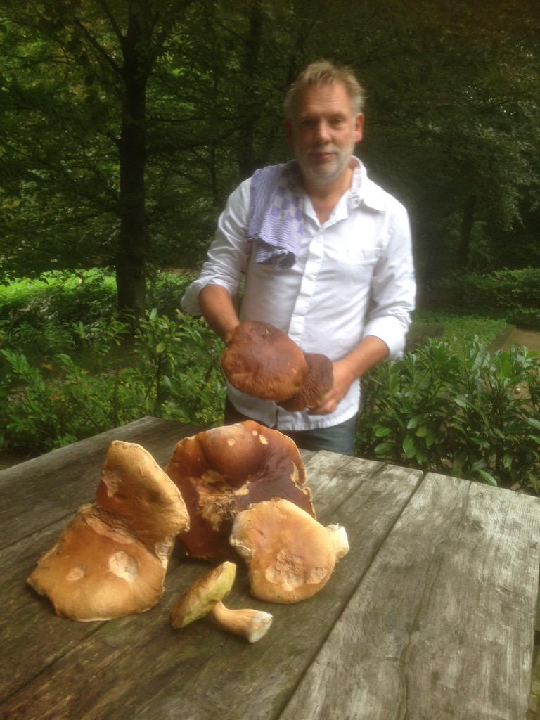 restaurantrttll's tweet image. Uit eigen tuin, straks op het bord @landgdhulshorst