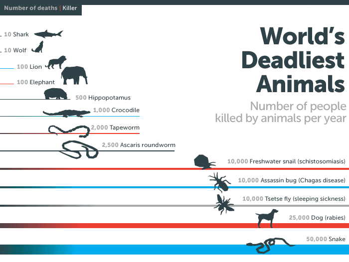 Scopemg36 Na Twitteru 紀州犬を素手で倒せとか13発も使いすぎだという人向けに Who統計の年間に人を殺した数が多い生物ランキング 1位 蚊 2位 人間 除く Http T Co T5lojkchac