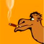 CCRebel_'s tweet photo. It's #HumpDay Rebels. Have a #cigar http://t.co/raPLxa4ORC