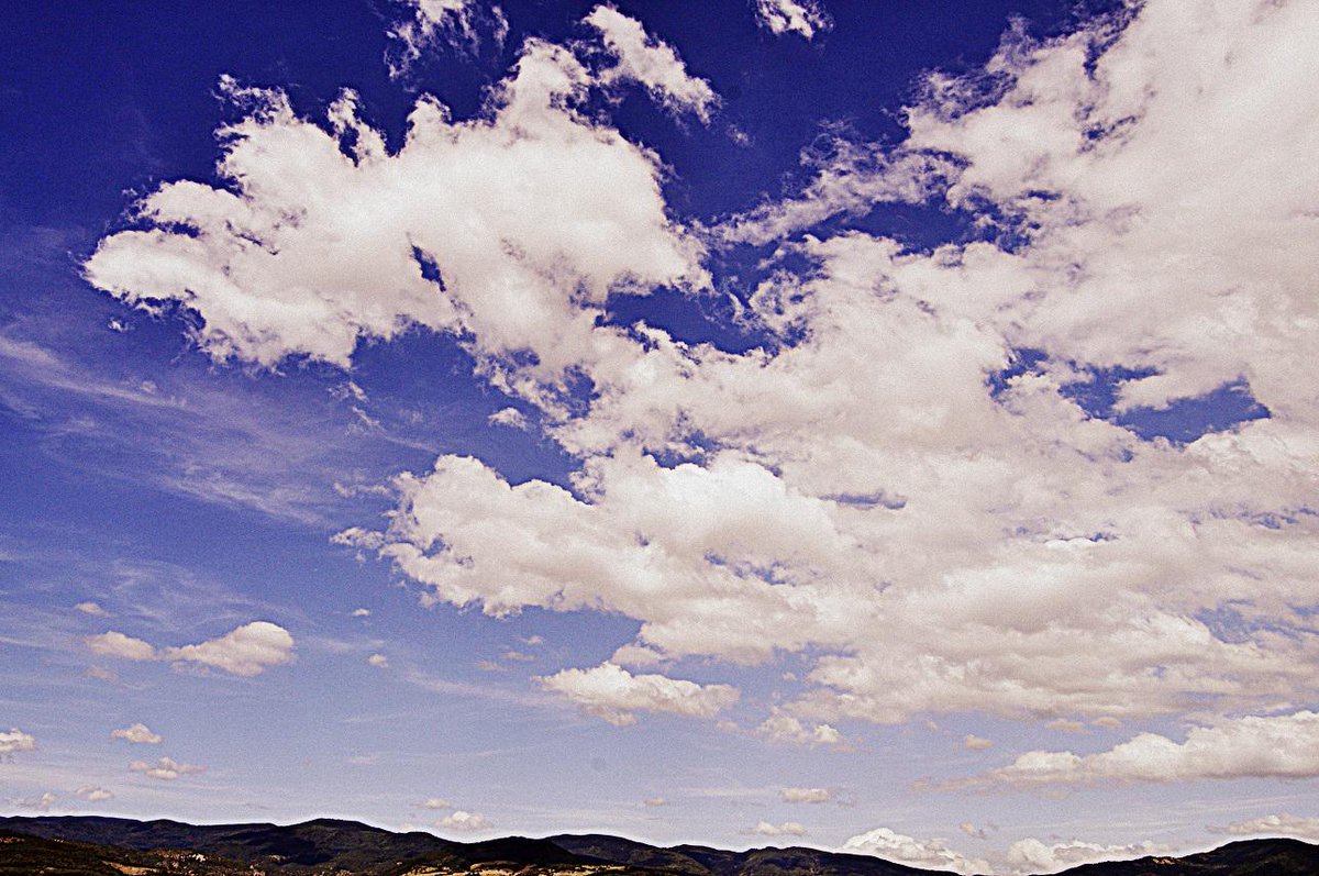 Daniele Camilli tweet media