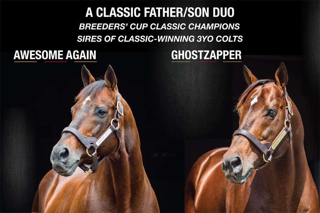 Adena Springs 2016 aşım ücretleri Adena Springs 2016 aşım ücretleri