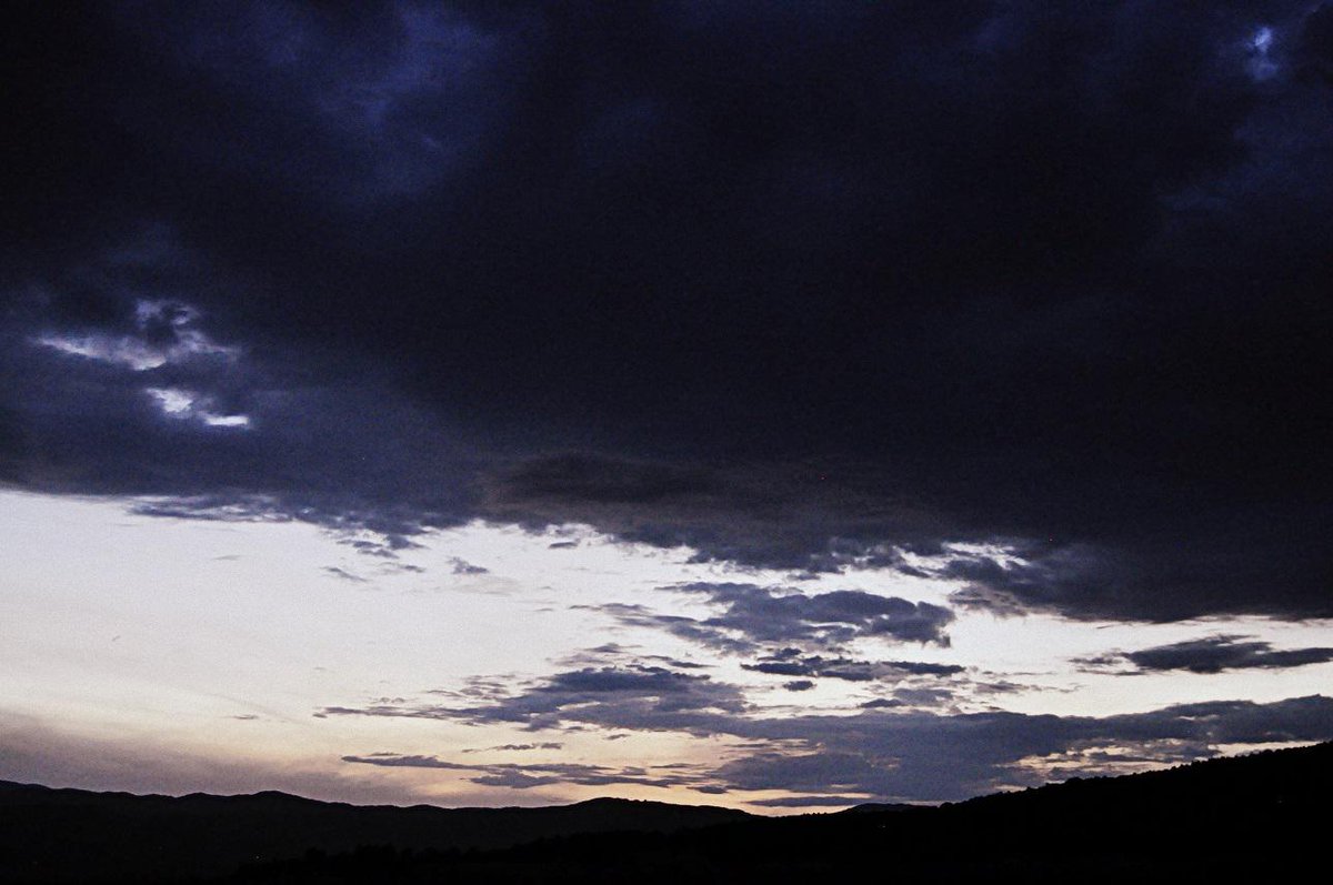 Daniele Camilli tweet media