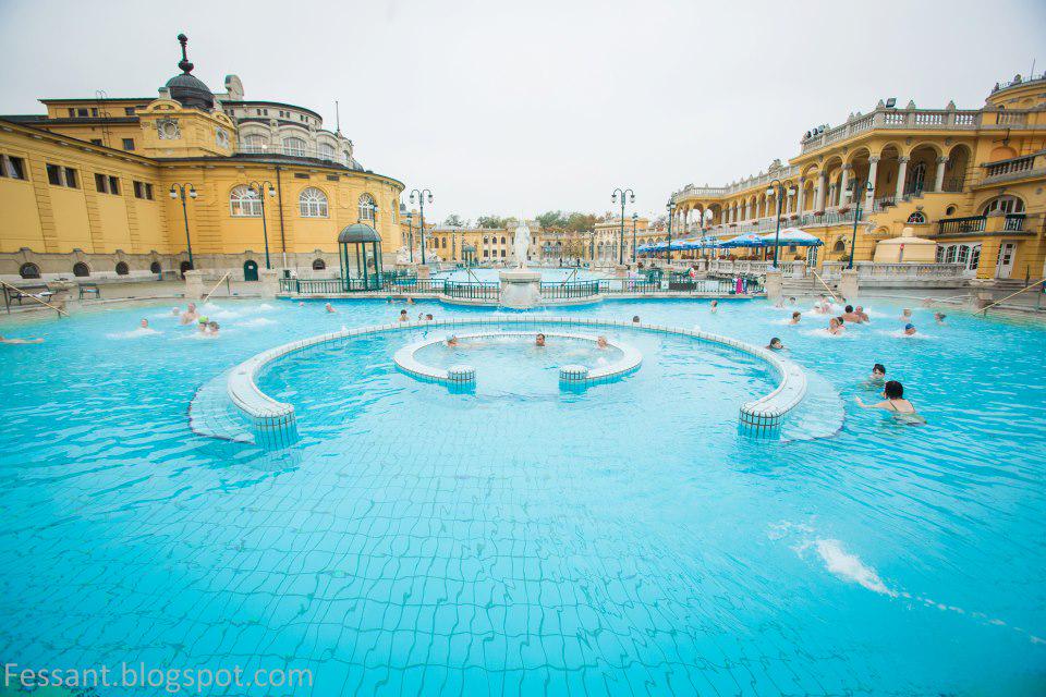 BudapestSpa's tweet photo. Check our Szechenyi Spa Facebook Fan page https://t.co/wwVQaqIOIA #spa #Budapest #thermal #szechenyi http://t.co/qMXzEMFfgE