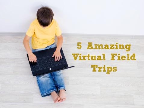 5 Awesome Virtual Field Trips (Plus How to Use Them in Your Classroom Later) ow.ly/Si3n0 #edchat #sschat