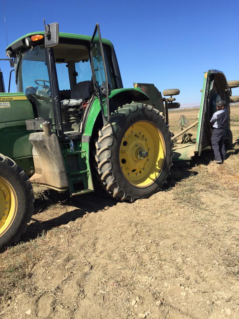 mikezav's tweet image. 