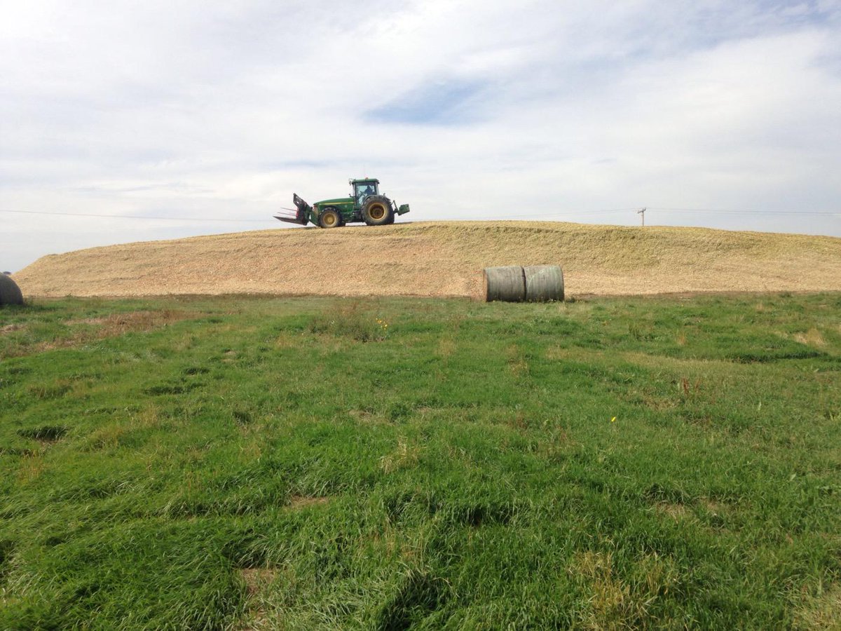 JoeCornwell's tweet photo. #cornsilage2015 @oldipp http://t.co/ij3aLYmP43