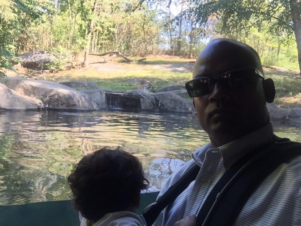 GlocalThomas's tweet photo. @ Bronx Zoo , Tiger #JST1 http://t.co/poLVUIXsM8