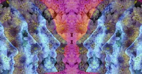 Psychedelics could be the next big thing in mental health care huff.to/1OwtAa5