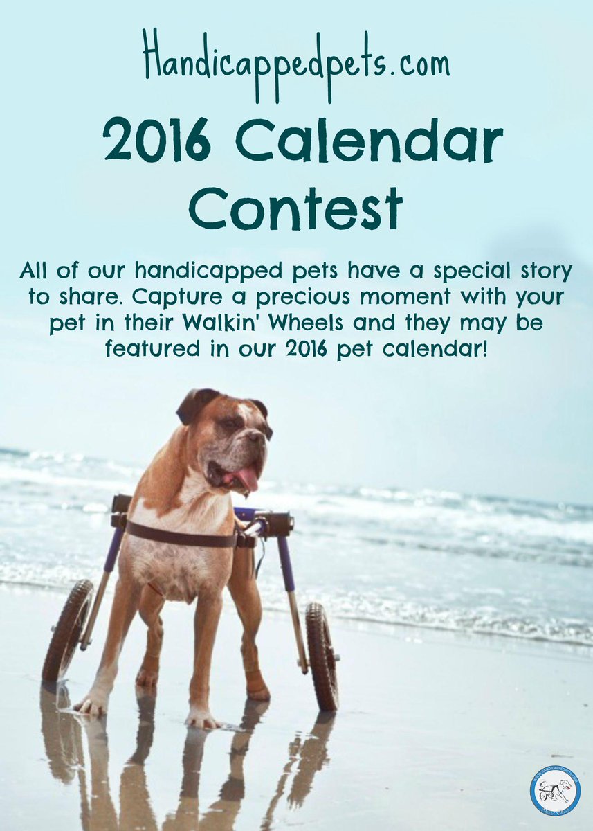 WalkinWheels's tweet photo. Say hello to the winners of our 2016 http://t.co/iWSx2ToRHE Calendar Contest! https://t.co/82buHg8dUj http://t.co/44IJCP6YWX