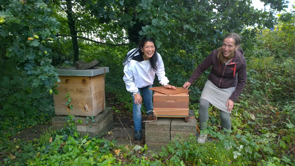 Spoortuin's tweet image. What's the Buzz in #Middelland? Samenwerken! 
Bijen Graaf Florisstraatimker voortaan @Spoortuin. 
#Wedoenhetwelzelf