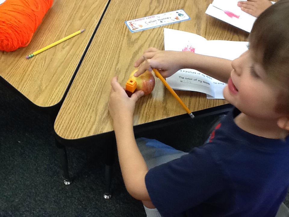 GESDodd's tweet photo. Measuring apples with a partner #collaborativeworkers
#gesshineon http://t.co/F7dPeWByBH