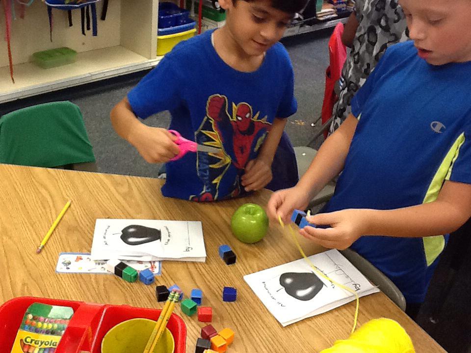 GESDodd's tweet photo. Measuring apples with a partner #collaborativeworkers
#gesshineon http://t.co/F7dPeWByBH