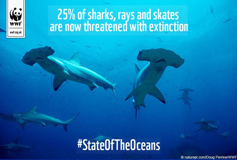 Simon Reeve tweet media