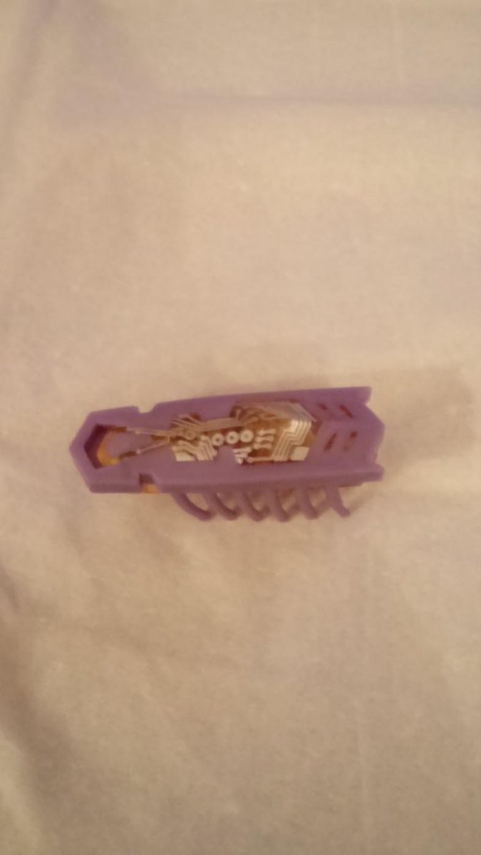 HBSEnigma tweet media