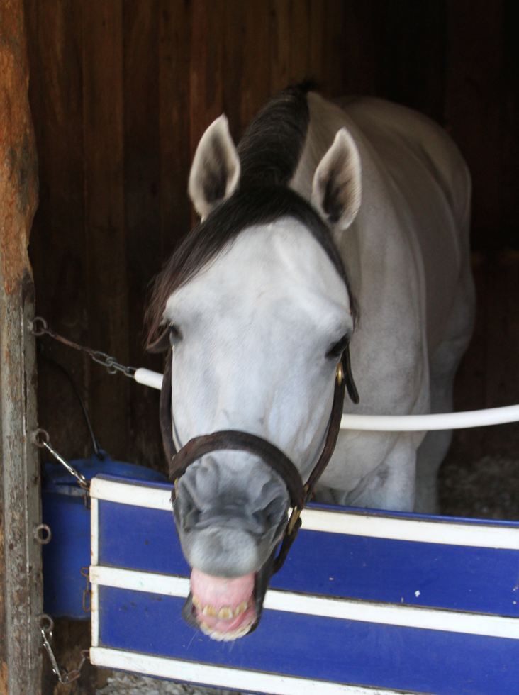PenelopePMiller's tweet photo. .@Jubacolt You have to smile in your selfies, Juba! http://t.co/KWEOBGGch1