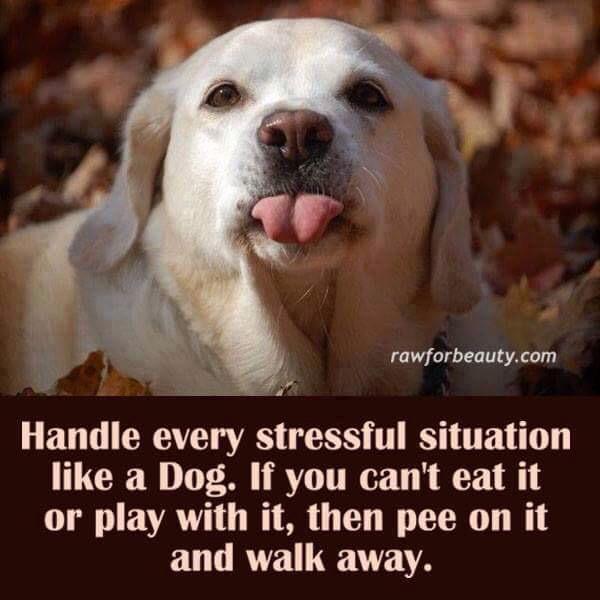 TheGirlWithMS's tweet photo. #takethatms #timetopee #mspals #multiplesclerosis #fibro #chronicpain http://t.co/dcWJfeTfA0