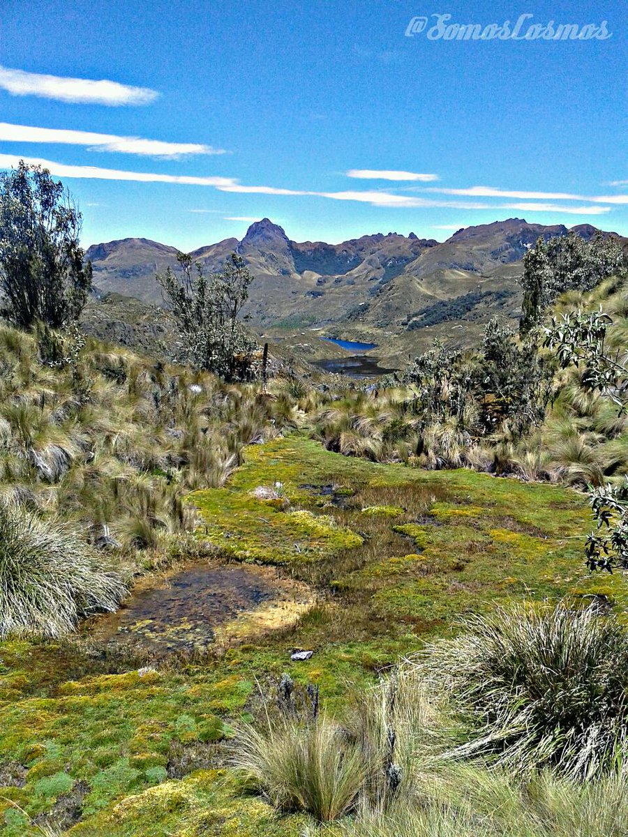 CosmosSomos's tweet photo. #Nature #Photography #SCPhoto #LatamChallenge #SeptemberPhotography http://t.co/A6VykKzOra http://t.co/2C8ytRgoJq