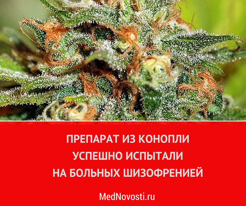 MedNovosti's tweet photo. Препарат Cannabidiol от GW Pharma превзошел плацебо в клинических испытаниях → http://t.co/H9QfmmKkoX http://t.co/cVZrVEwLUp