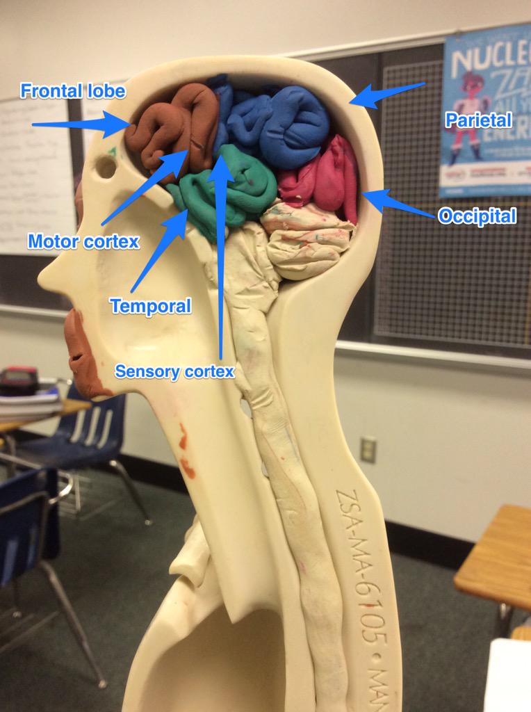 T_0r_i's tweet photo. #RHSBMS @2thedorkside  @_alexusliann  @PLTWorg @wearrrichmond http://t.co/wTVAEaMSvx