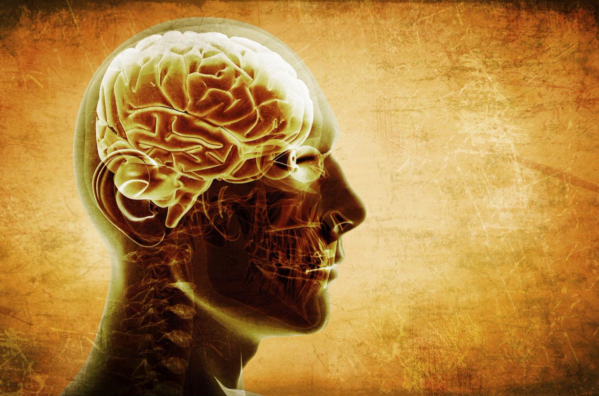 UMengineering's tweet photo. To unlock the mysteries of brain disorders, @Umich seeds interdisciplinary research. #MiBrain http://t.co/MmaPhWrKTv http://t.co/xkddWBYXB1