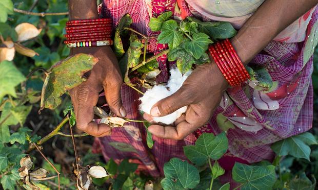 ClearlySo's tweet photo. Transforming the textile industry with #Fairtrade cotton http://t.co/JLWnacDvk1 #supplychange #whatmadeyourclothes http://t.co/qlEuXAySbw