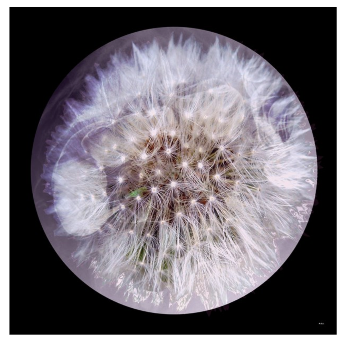 nunheadarttrail's tweet photo. Don't miss the work of Paula Garcia Stone at this weekend's Art Trail @peckhampeculiar @nunheadnews @CreativeNunhead http://t.co/PA2ccVteHi