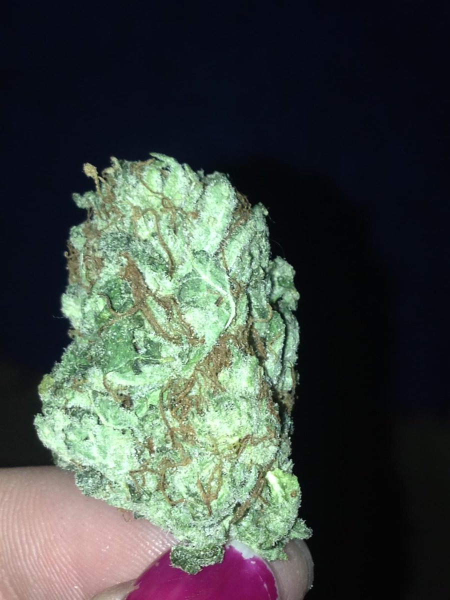 The_Phayntom420's tweet image. #iwillmarrymary #inlovewithmykush #highasthesky