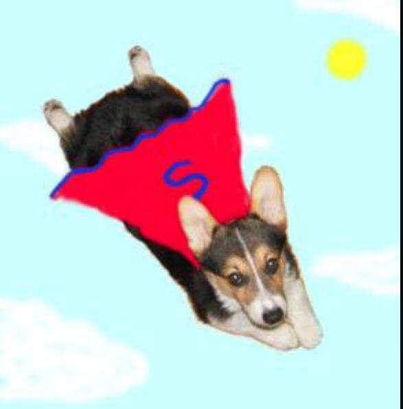 rarerunla's tweet photo. We're "flying" to SLC to help with Run The Night and raise awareness for MPS disorders! http://t.co/0snTsdmaw4