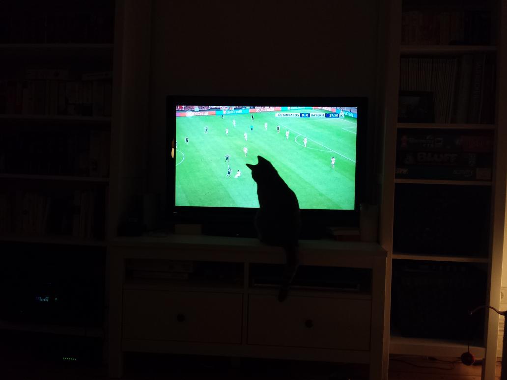 Vaukaaa's tweet photo. Also MICH stört's nicht ;) http://t.co/PBZN1bu7Mh