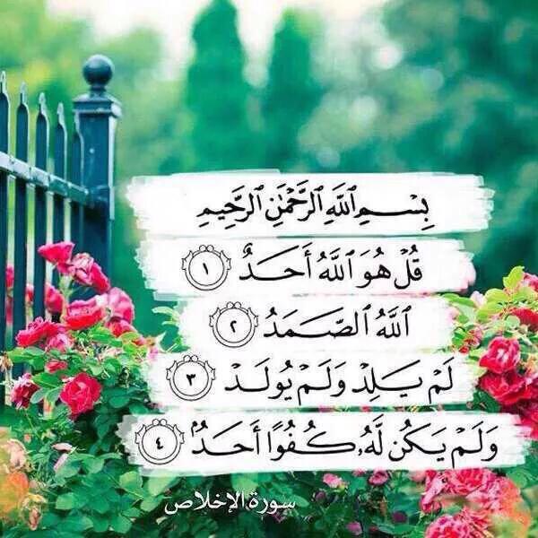 campioni d’italia 20 🇮🇹⭐️⭐️ tweet media