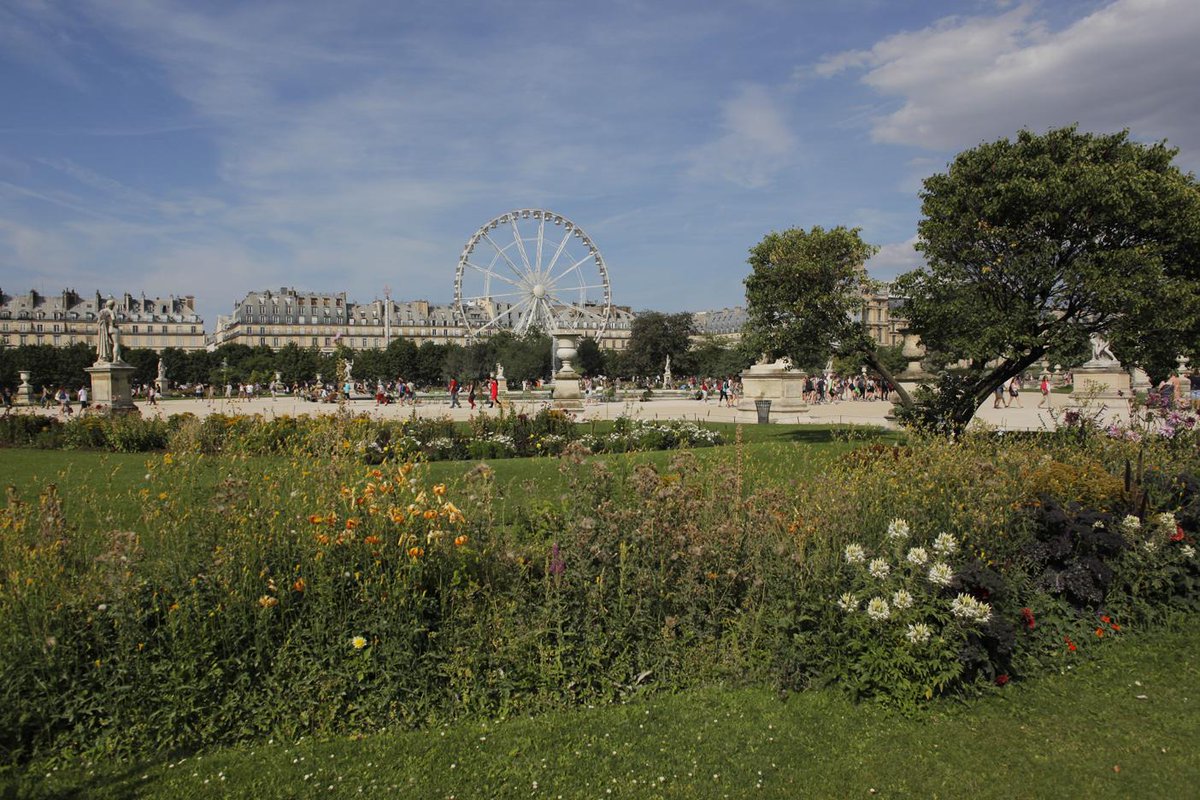 MuseeLouvre's tweet photo. #JEP2015 3 RDV #Louvre
◤#24HavecVinci
◤Visites des #Tuileries
◤Geste à l'Hôpital Charles Foix
https://t.co/ODIJxLHGkC http://t.co/aYkNK30evR
