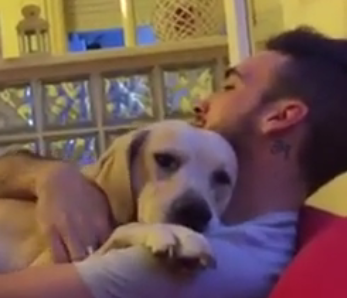 CBSViral's tweet photo. "Oh, please, forgive me."

Stay for the hug at the end. https://t.co/2pfa2RCtYx http://t.co/HKramNiGdI