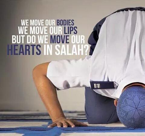 MDSaqibMalik's tweet photo. We move Our Bodies
We move Our Lips
But
Do we move Our 👉 Hearts 👈 in  "Salah"?

#Think #islamicmind @KeyReminders http://t.co/7x6yxKO70J