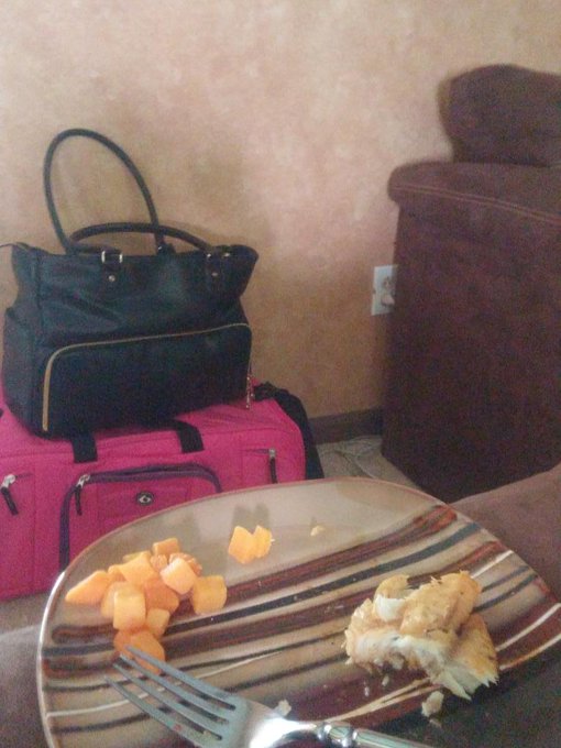 End of meal 3 Trying to feel better before I fly out for Olympia tomorrow I step on stage in 17 days🙈 @6PackFitness<a href="/tag/offkitty"class="tags"><span>#offkitty</span></a>