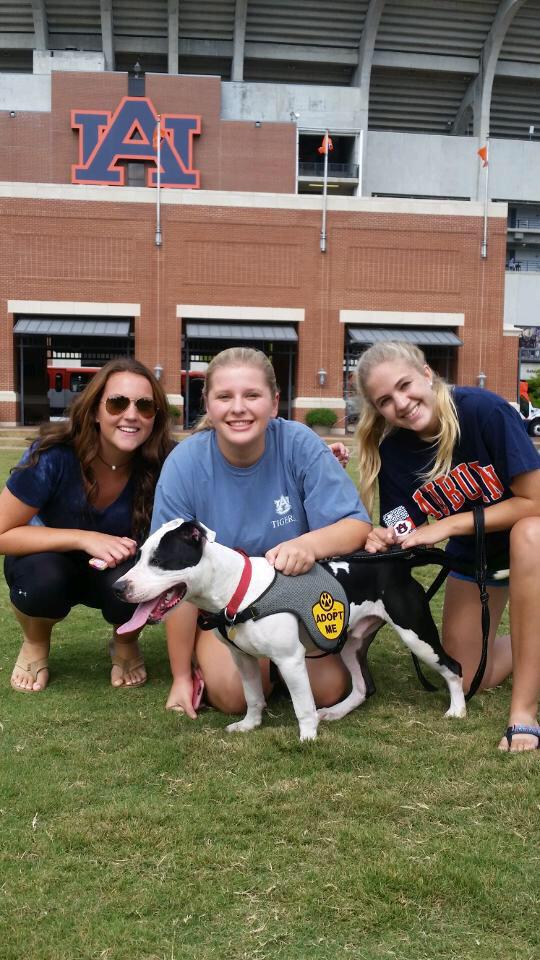 ksigbetaeta's tweet photo. All dogs are up for adoption too! http://t.co/iEIZP17esB