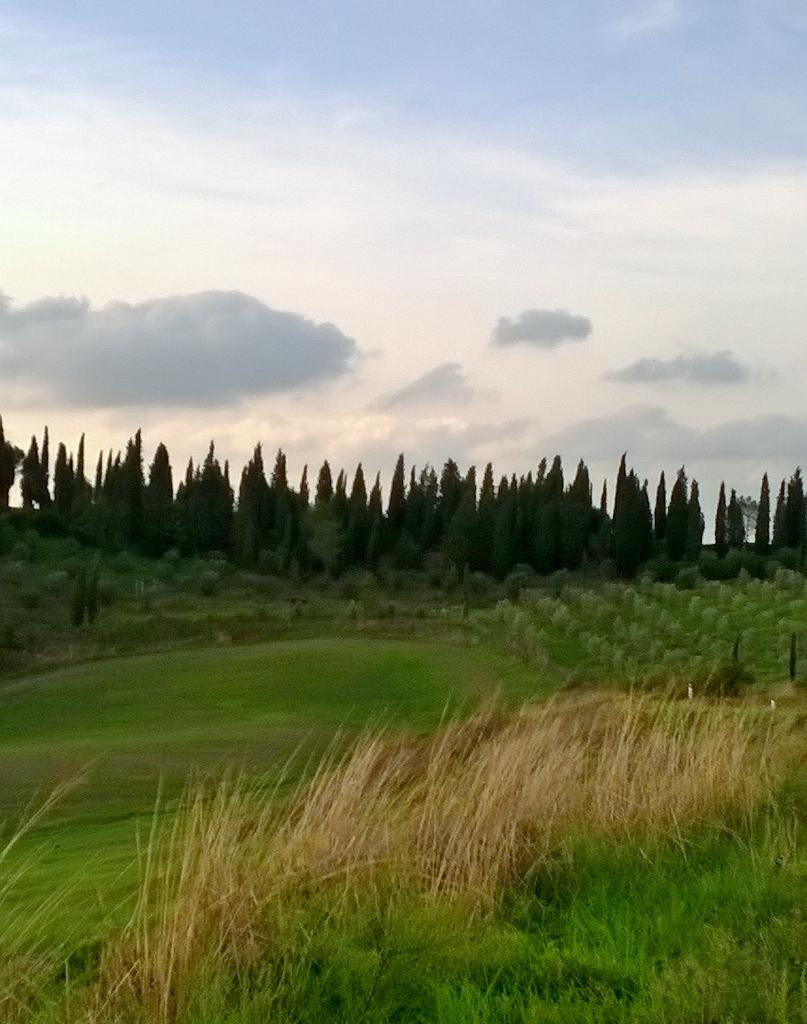 Bertini70's tweet photo. #Valdarbia #Medane #SanFabiano http://t.co/XZtl1jDyF0