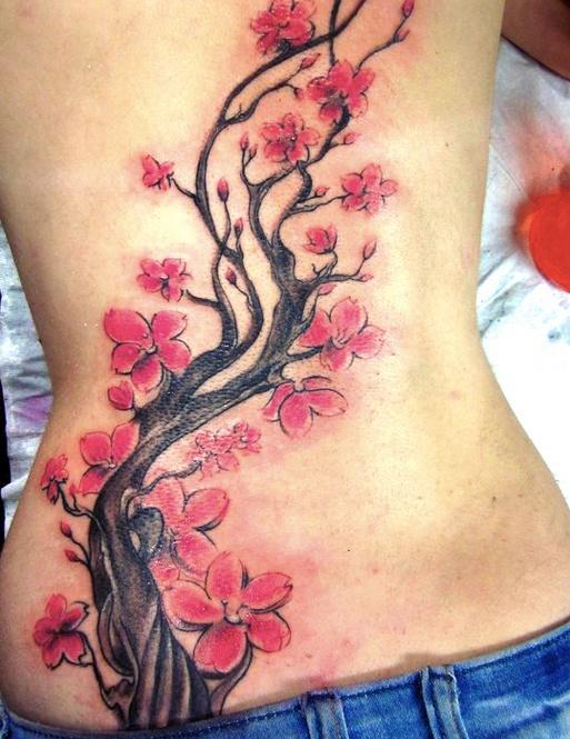 DamnGoodTattoos's tweet photo. #cherryblossom #flowertattoo #backtattoo #floraltattoo - http://t.co/VkKkSaz4aI http://t.co/bbNimiM1Zb