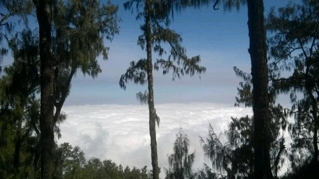 Backpacker Sumenep tweet media