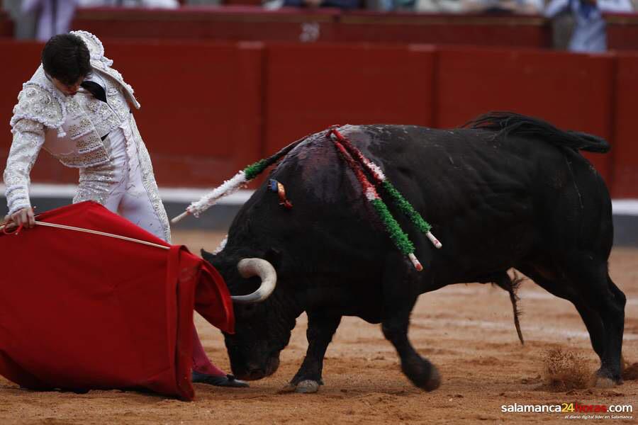 Así de bonito el diestro Juan del Álamo toreó a “Cortesano” (toro de oro 2015). #GanaderiaMontalvo