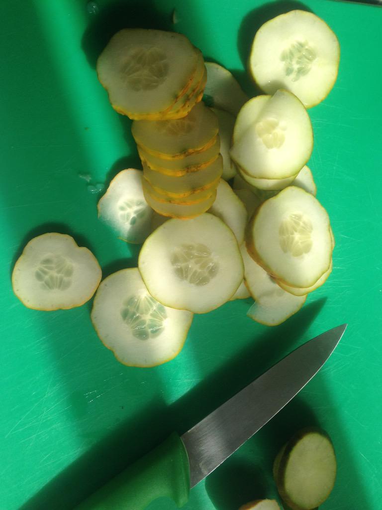 FGSfood's tweet photo. Tzatziki made using homegrown cucumber and mint from our school garden @CreateFGS @FlixtonGS http://t.co/4jWpsXoFdA