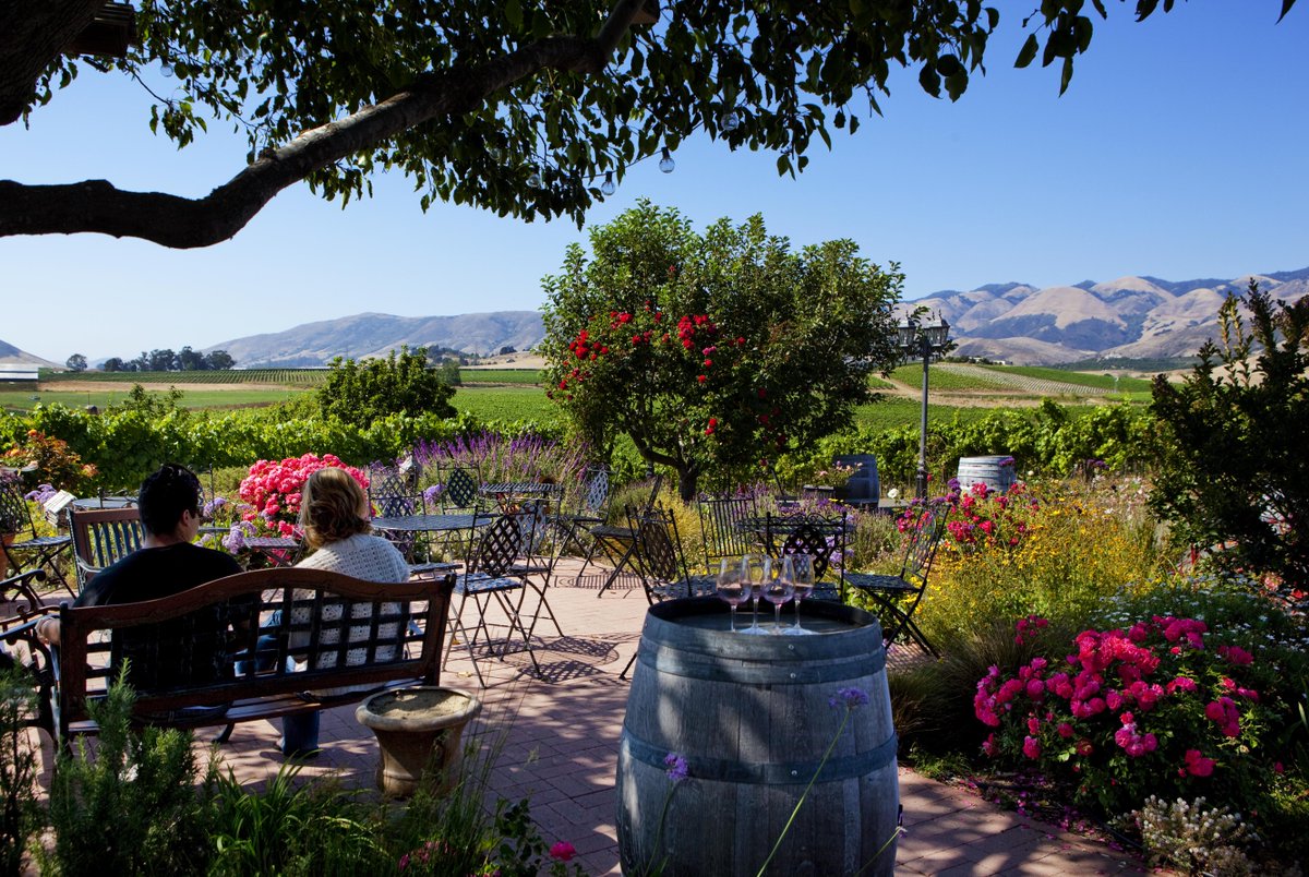 SavorSLOCAL's tweet photo. This view will never get old. Enjoy your #WineWednesday by visiting your favorite @PismoTravel winery! #WineAndWaves http://t.co/Nz5MkdlnqS