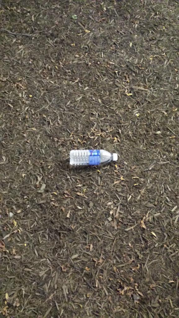 cmugarbage's tweet photo. A well-meaning student neglected to remove the water from the bottle before watering the trees. #CMU #greenrevolution http://t.co/o60iJE7ZcX