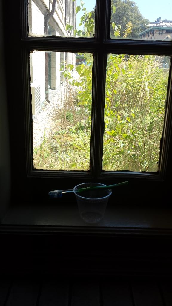 cmugarbage's tweet photo. Tooth brush sitting peacefullyon a window sill. #cmugarbage #CMU #toothbrush http://t.co/ISOx2epY60