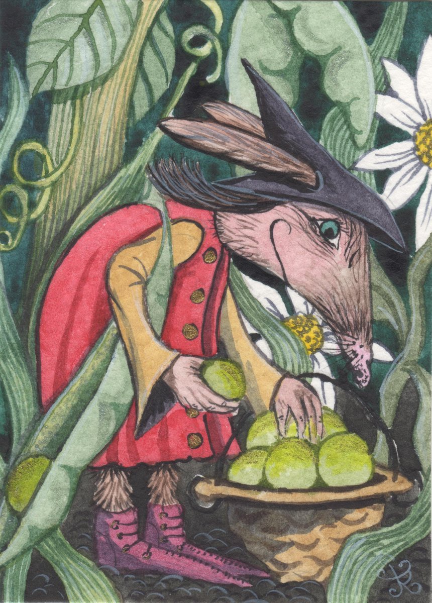 MatlockHare's tweet photo. Crivens!  Some peffa-oidy witches, come your way all too soon, good folk...! #books #illustration #witch http://t.co/FGweXvamga