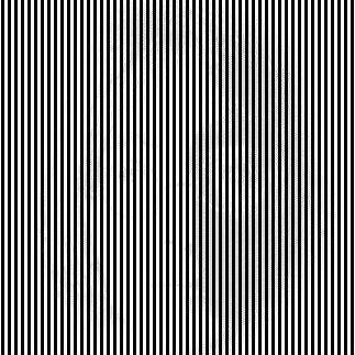 NWmole's tweet image. Shake your head side to side while looking at this pic.It amazed me!!