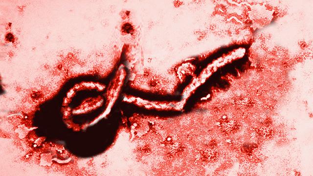 New #Eircom logo does look like ebola virus or is it the other way around