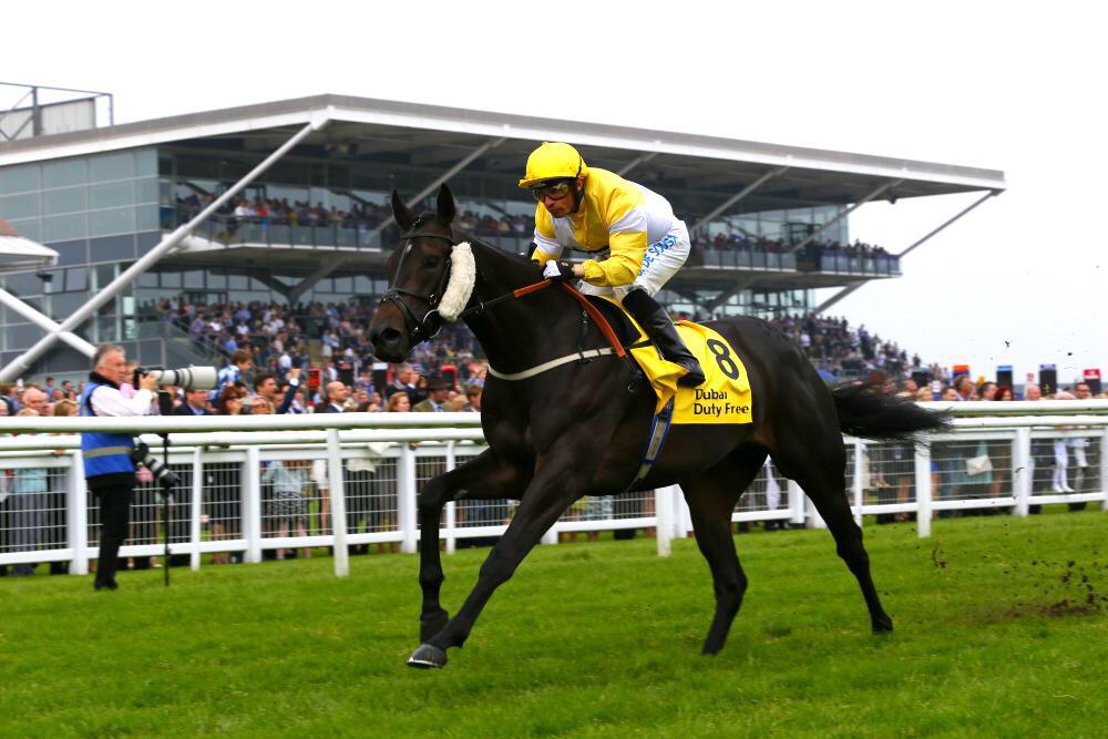 DDFRacing's tweet photo. MADNESS! Fancy going to @NewburyRacing on Saturday with 4 friends? FOLLOW &amp; RT for your chance to win 5 tickets! http://t.co/vro6HuoStf